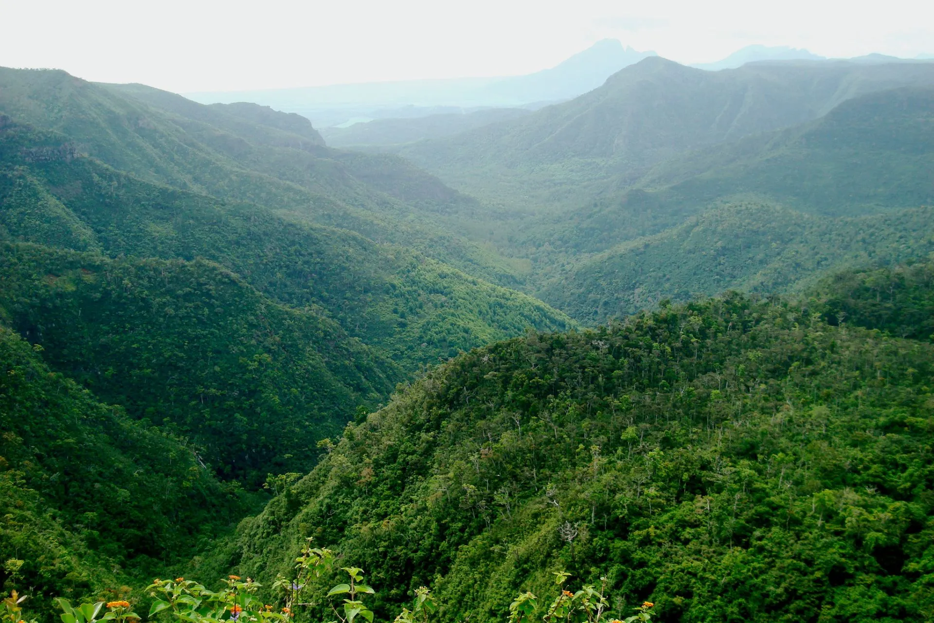 Black River Gorges National Park, Mauritius