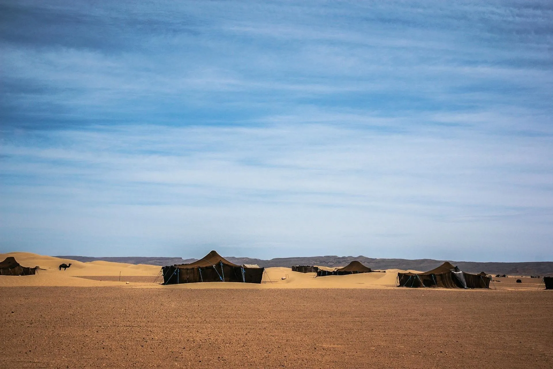 Tents located in the Zagora Desert, Morocco
