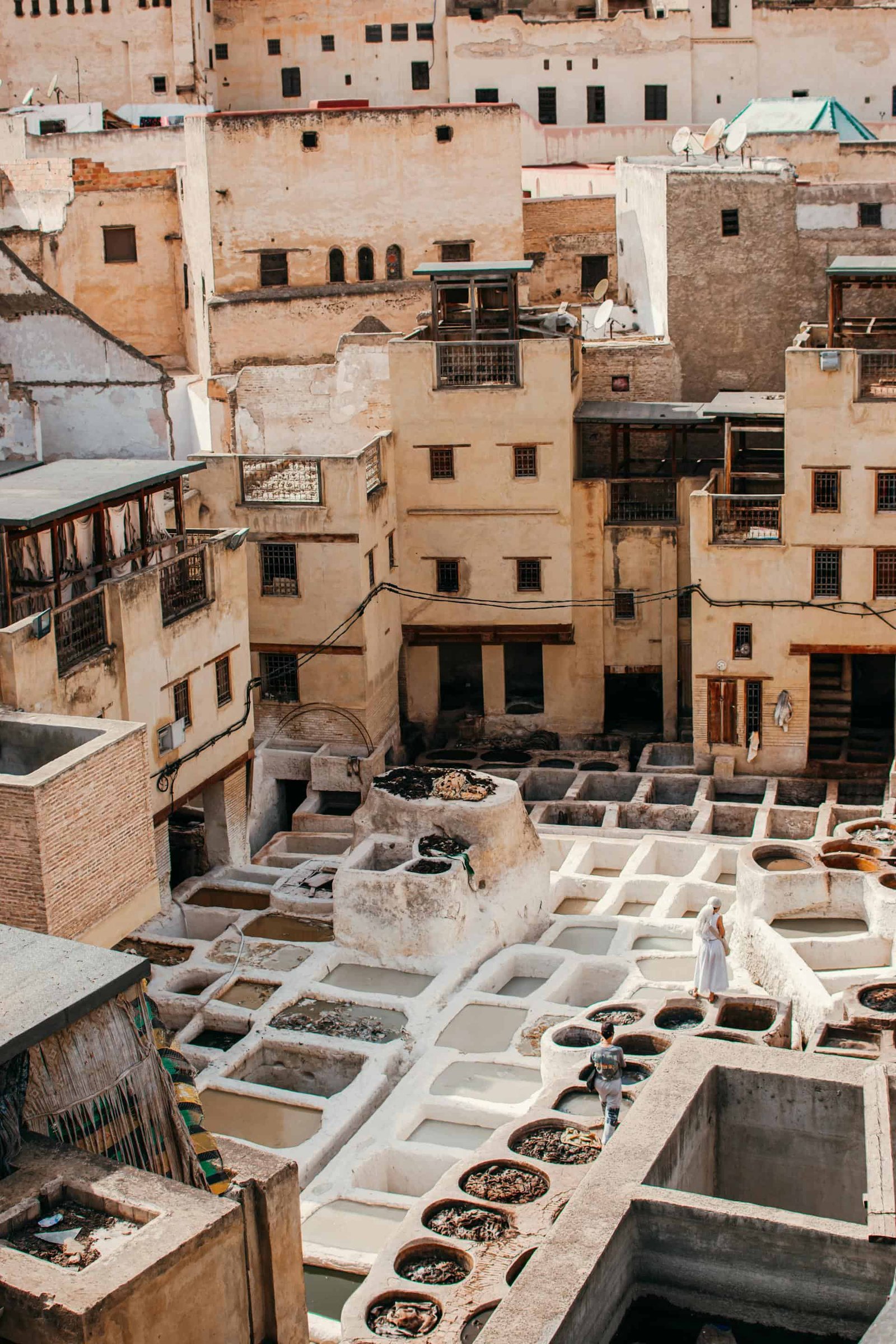 Chouara Tannery in Fez