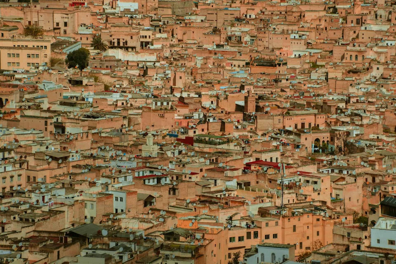 Medina of Fez
