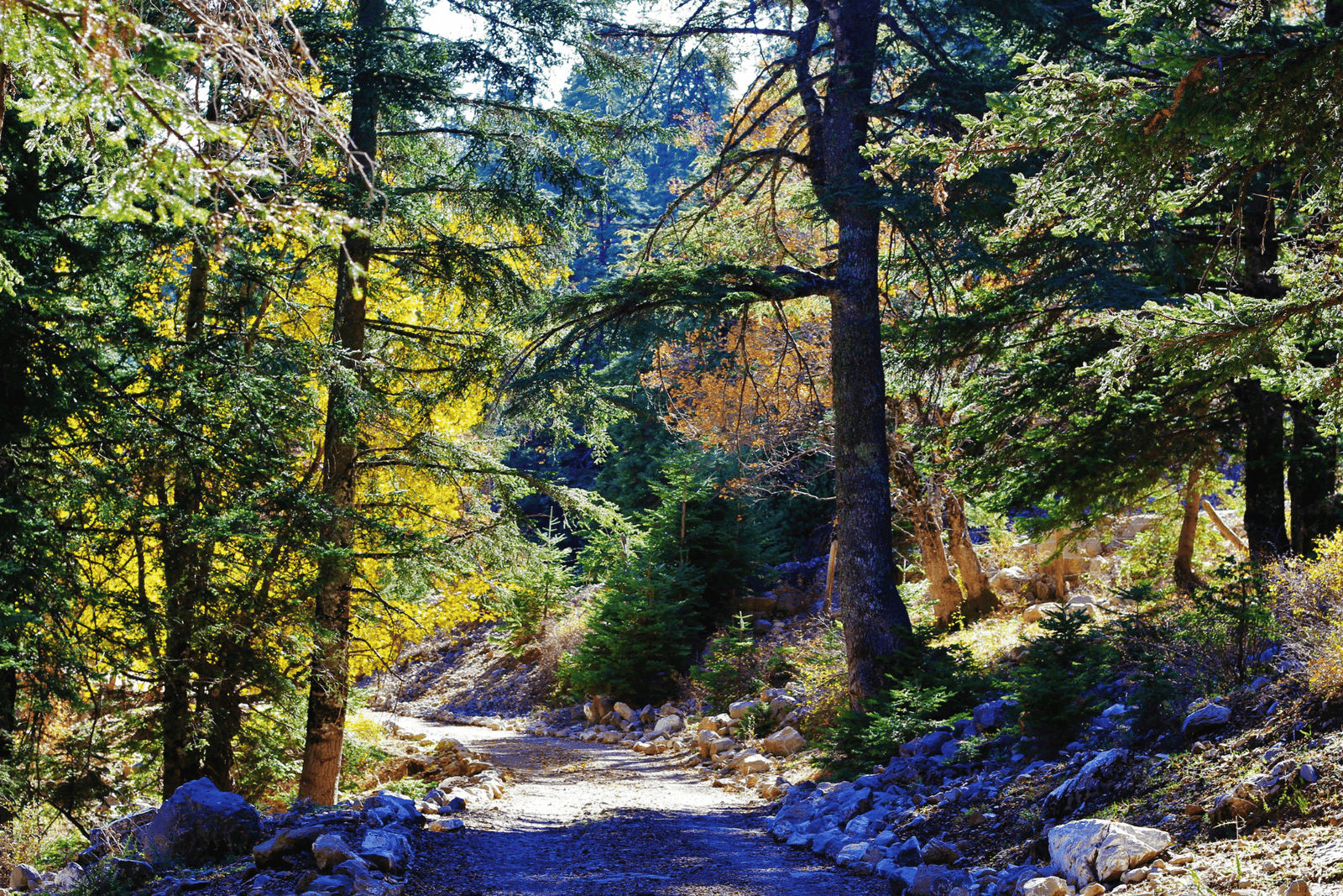 Talassemtane National Park Trail near Chefchaouen, Morocco