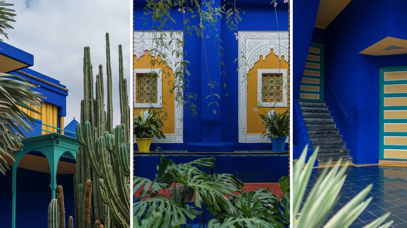 Majorelle Garden with Blue Walls & Cactus in Marrakesh, Morocco