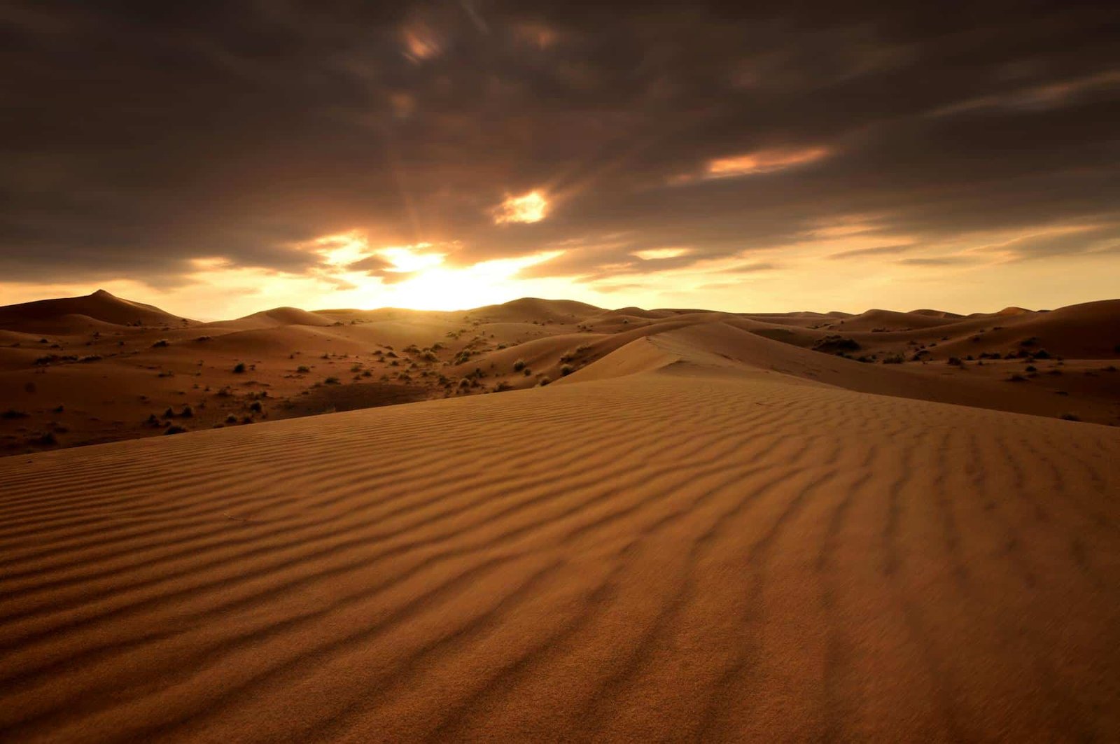 Erg Chebbi Dunes Sunset in Merzouga, Morocco