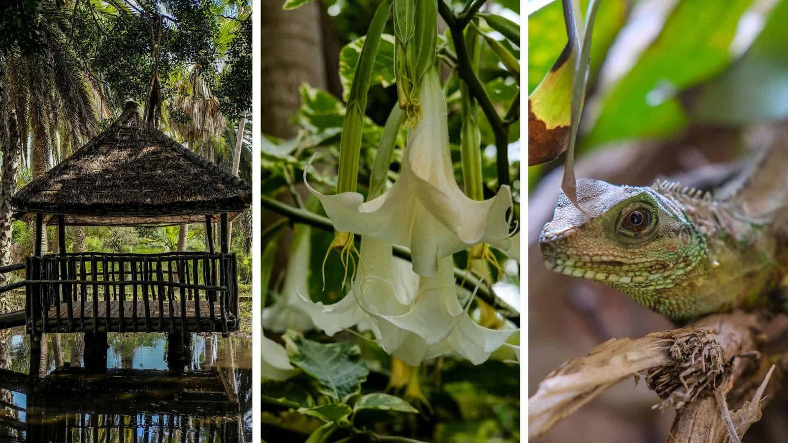 Different Views of the Bouknadel Exotic Gardens, Morocco