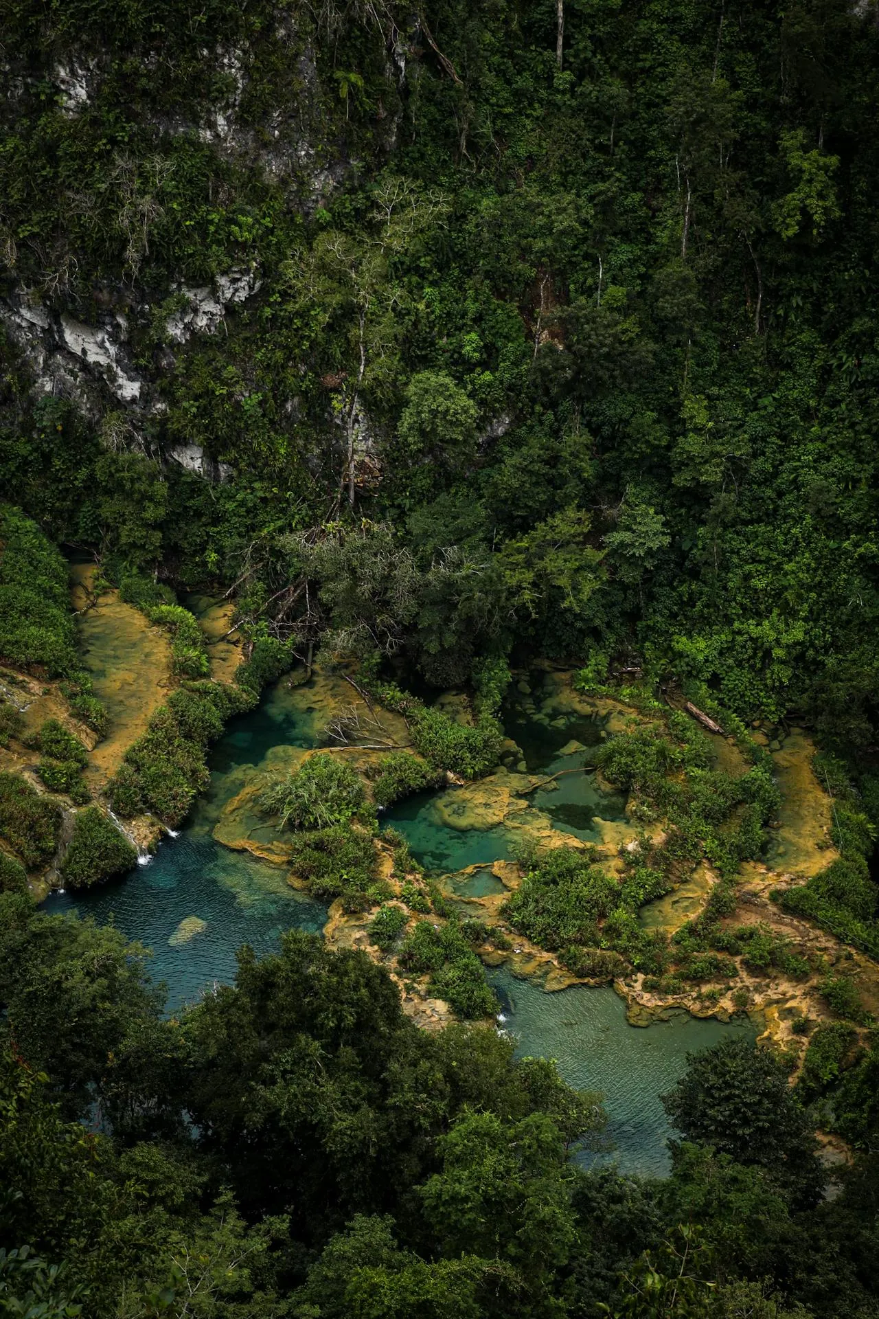 Semuc Champey viewpoint over turquoise pools in Guatemala