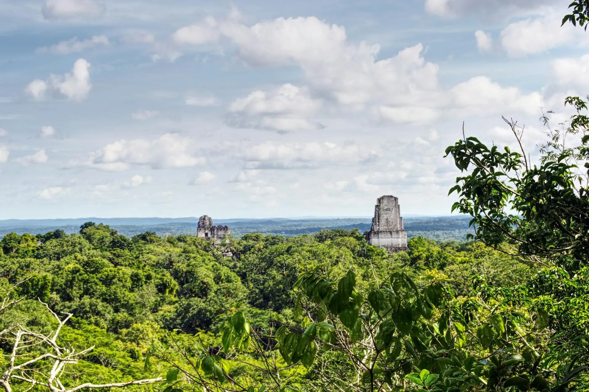 Tikal National Park in the Jungle, Guatemala
