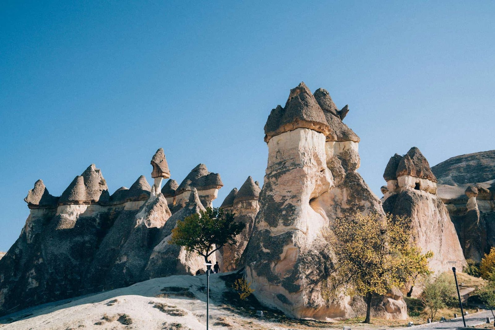 The Famous Fairy Chimneys in the Pasabag Valley, Cappadocia, Türkiye