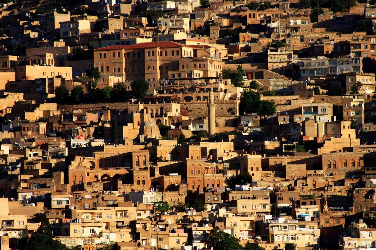 View of Mardin's Old City, Türkiye