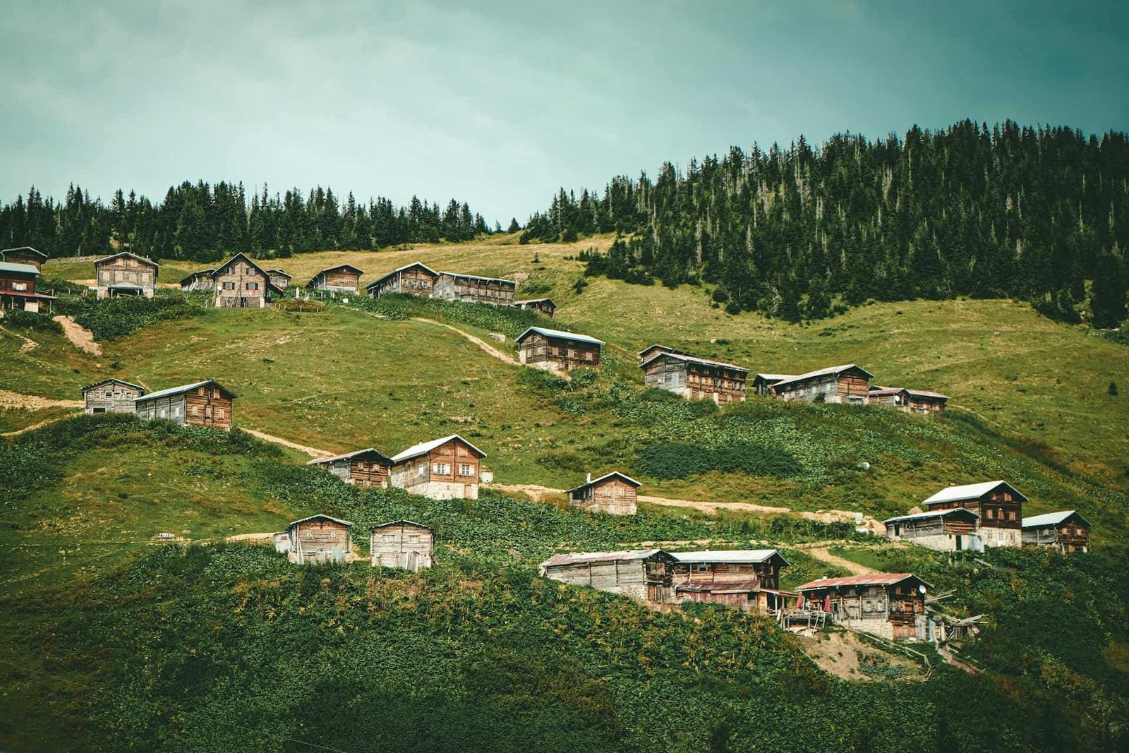 View on Wooden Houses in the Ayder Plateau and Valley near Rize, Türkiye