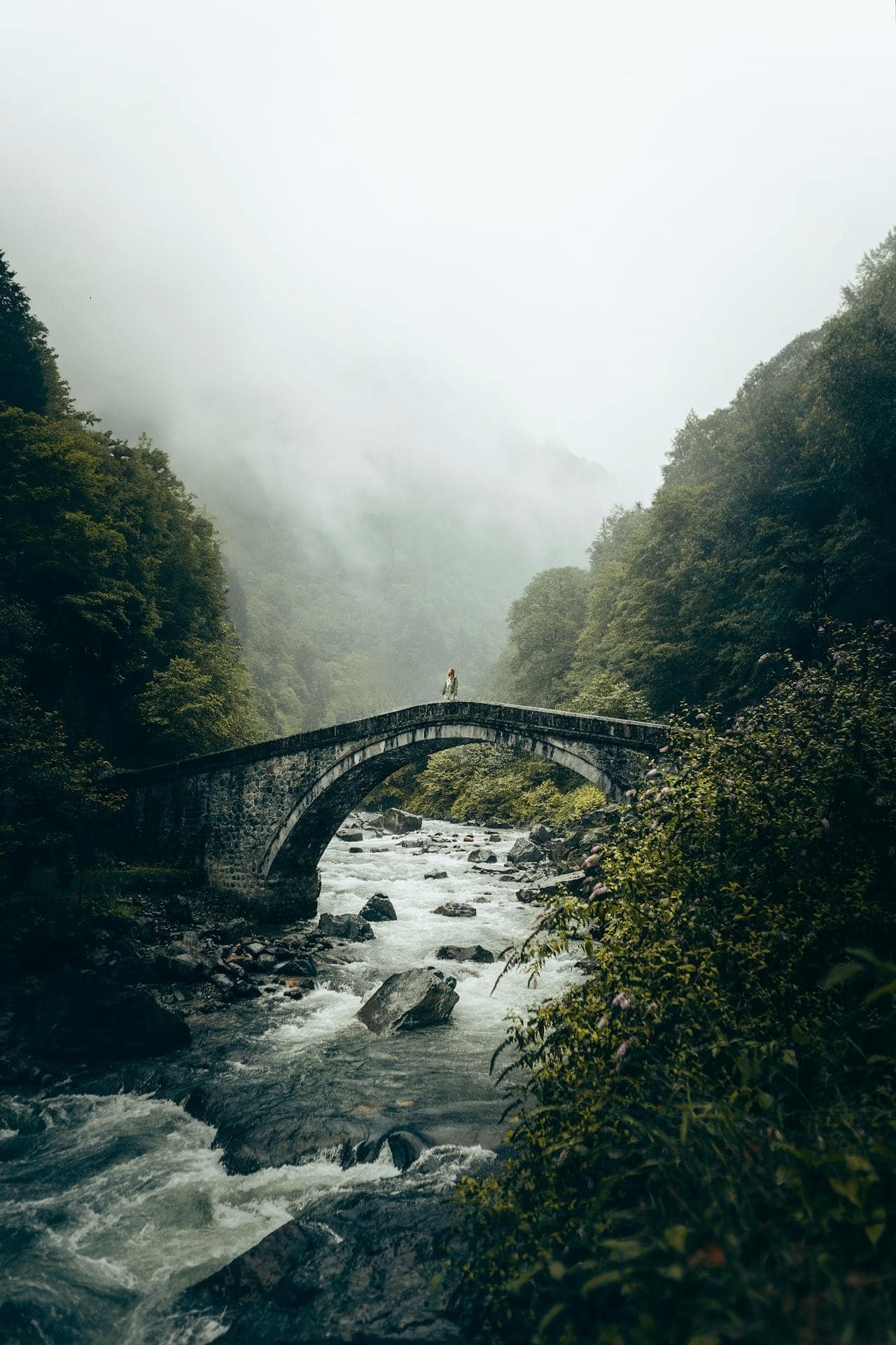 A Stone Arch Bridge located in the Fırtına Valley near Rize, Türkiye