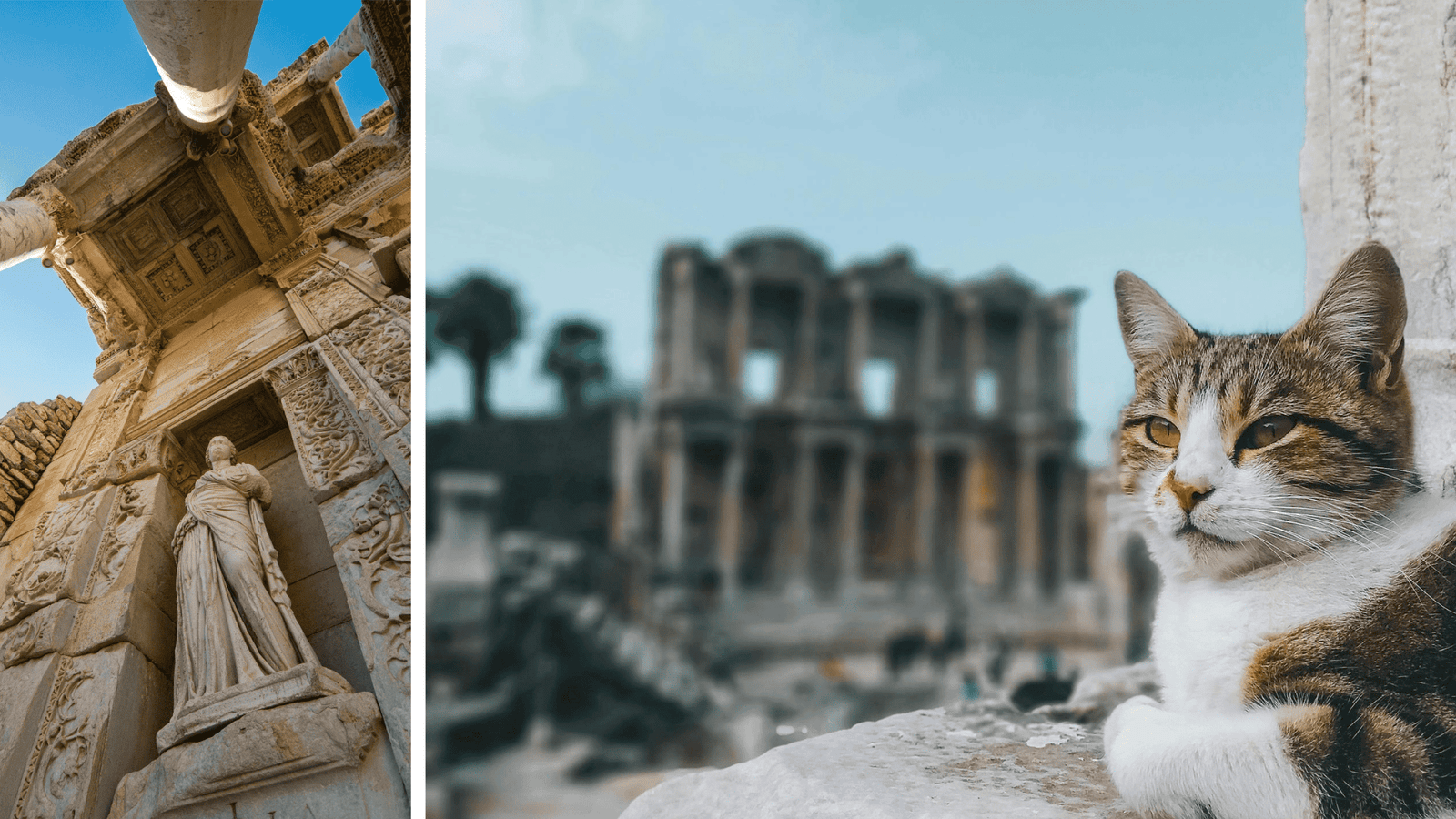Cat Lying in Ancient Ruin of Selçuk, Türkiye