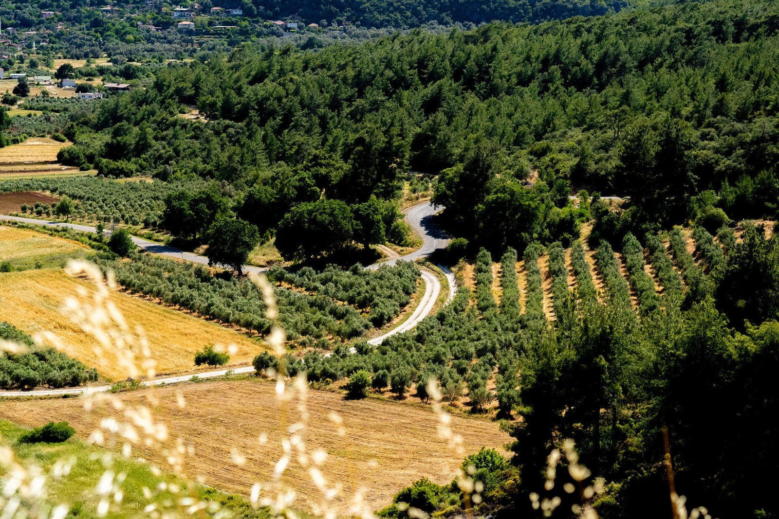 Mountain Road Fethiye South Türkiye