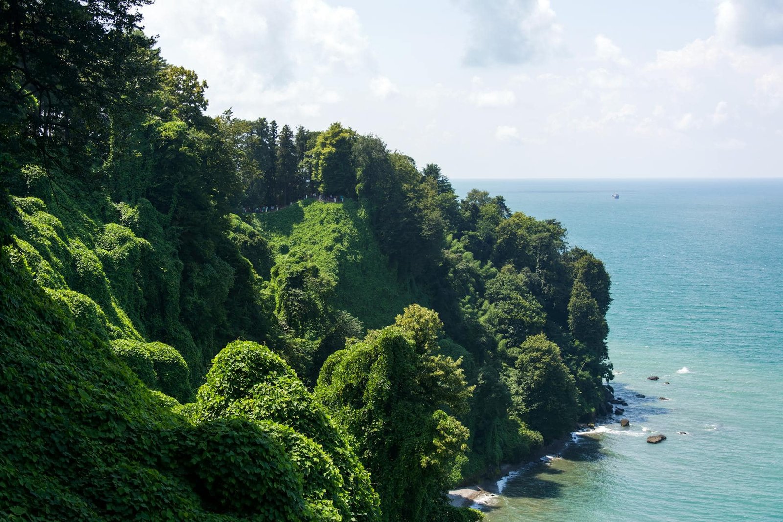 Batumi Botanical Garden Coastline, Georgia