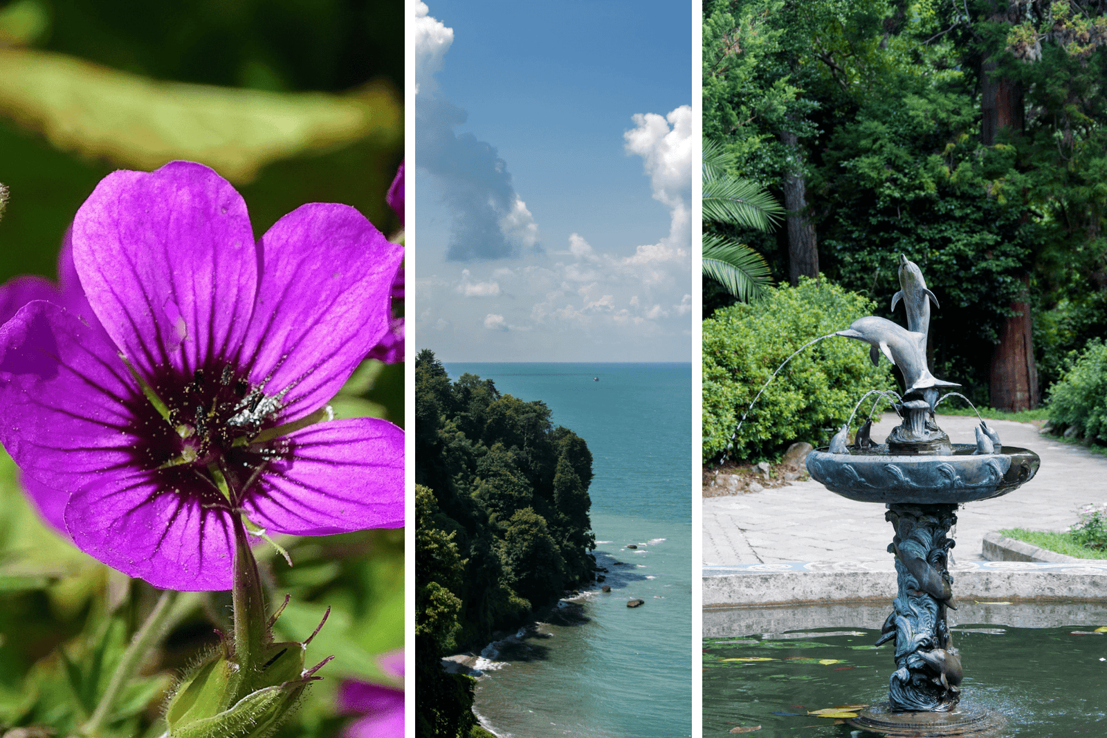 Different Views of the Botanical Garden of Batumi, Georgia