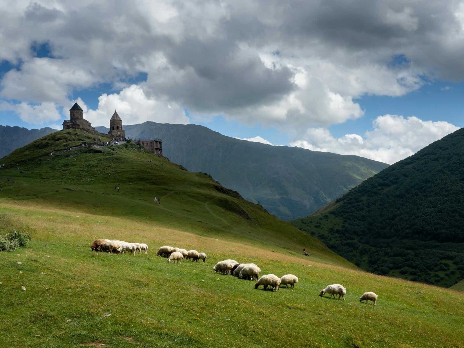 Sheep on Green Grass Field Near Mountain in Stepantsminda, Georgia