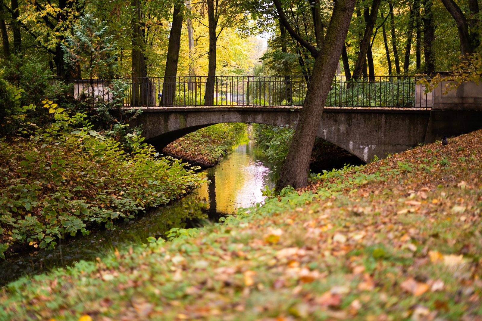 Łazienki Park Bridge Warsaw