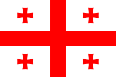 Wonderful Georgia Flag
